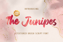 The Junipes - Textured Brush Font