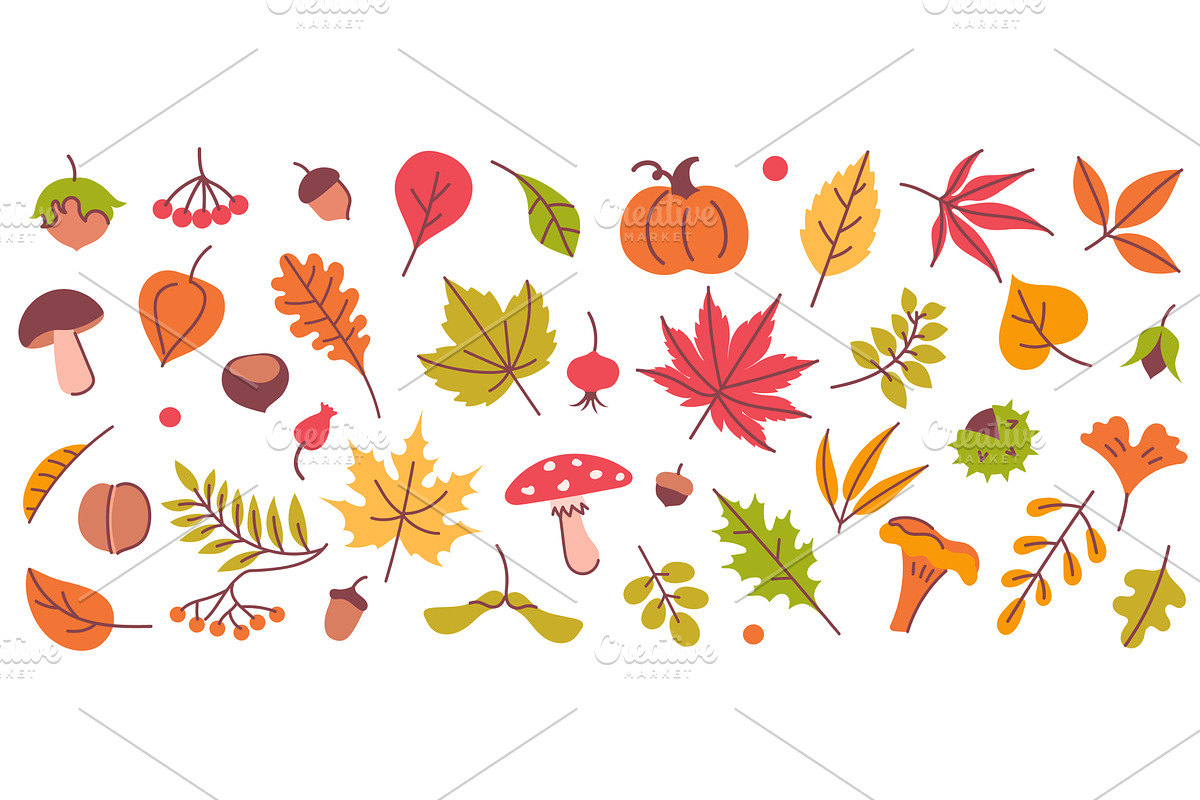 Autumn elements. Leaves, mushroom, an Illustration by winwin.art