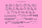 CS Fidela Drawn, a Sans Serif Font by Craft Supply Co. (Thumbnail 8 of 8)