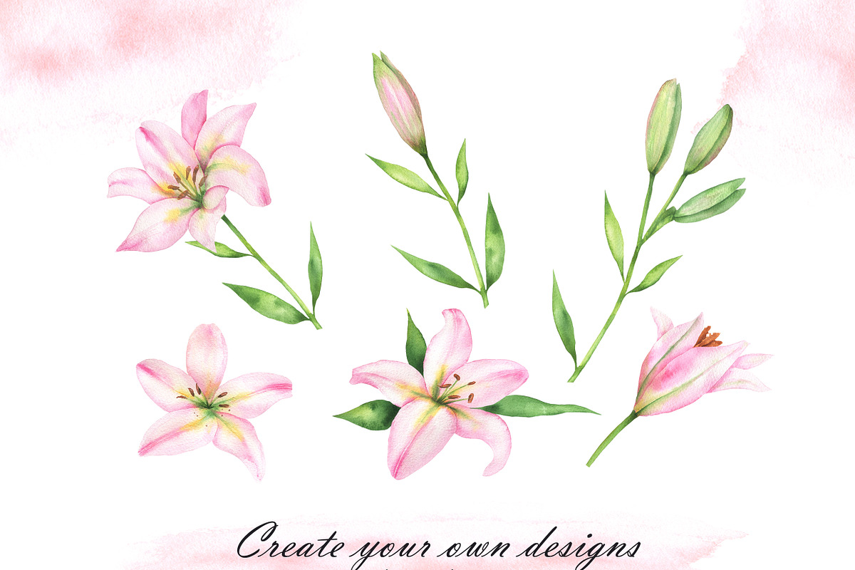 Pink lilies watercolor clipart set, an Illustration by OlDm_Shop (Photo 9 of 10)