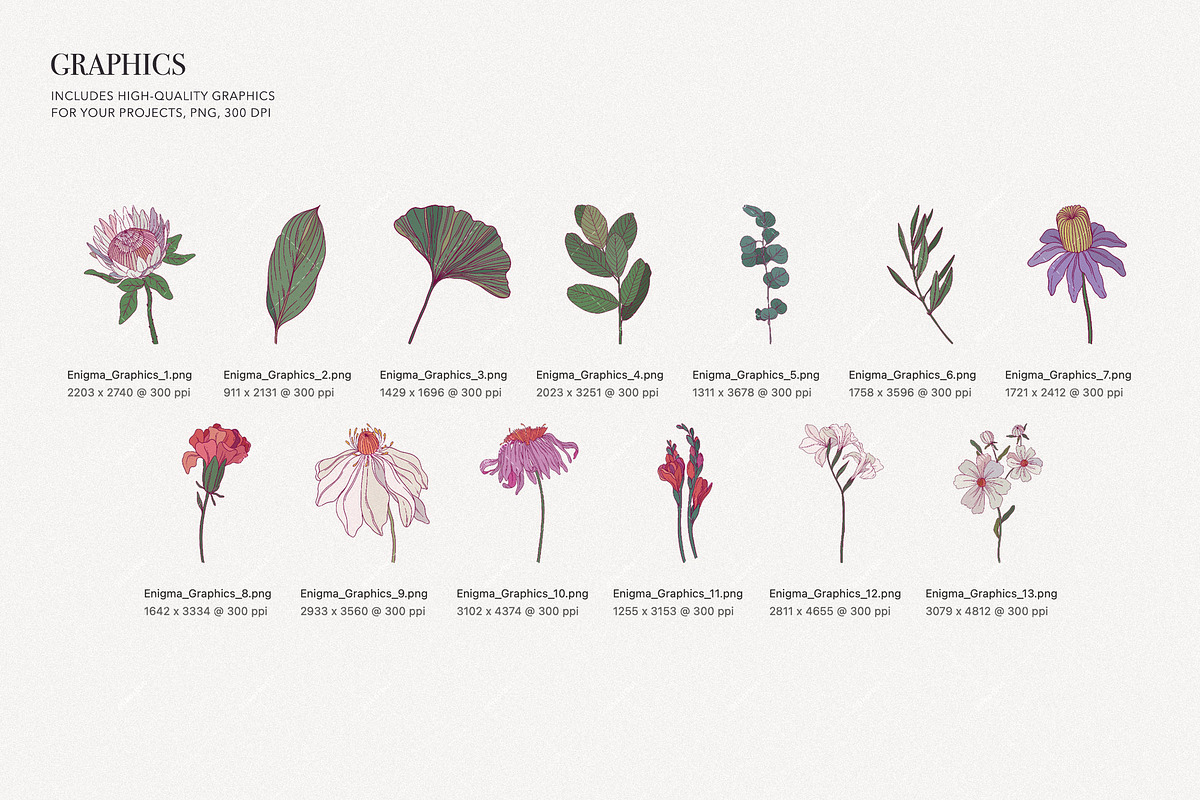 Enigma. Floral Pattern and Graphics, a Pattern Graphic by likorbut (Photo 7 of 11)