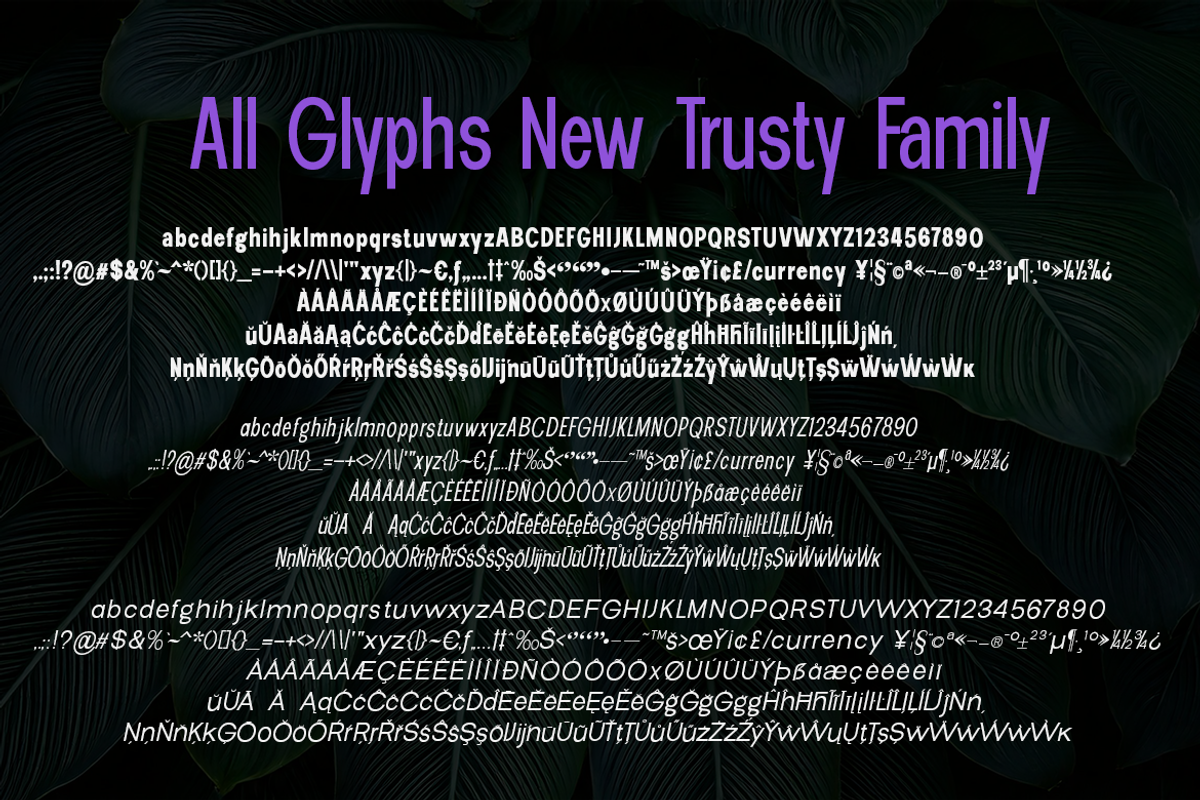 New Trusty, a Sans Serif Font by groens (Photo 6 of 6)