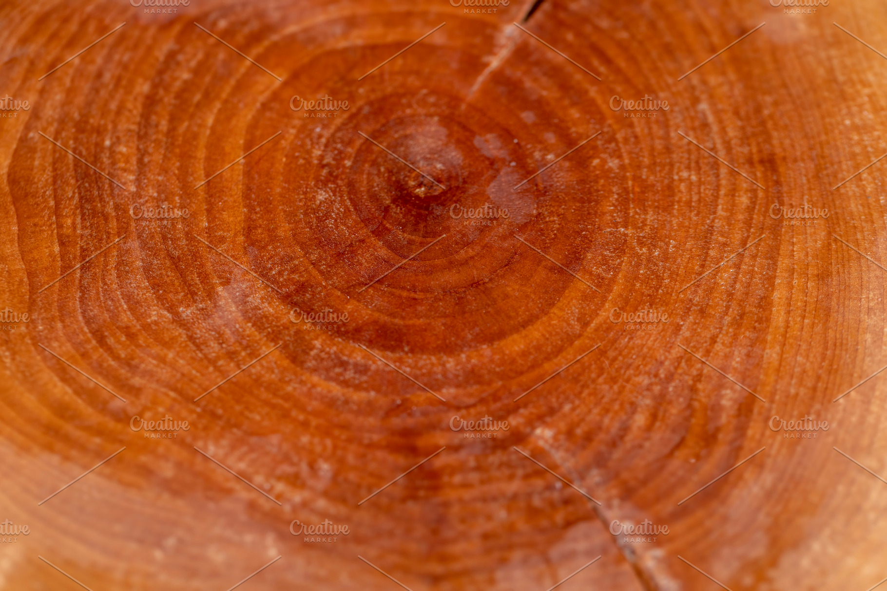 polished cherry tree with annual rings covered with drops of water, wet sawn ch, a Photo by rsoollAI