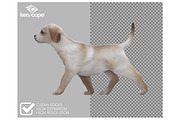 120 Pet/Farm Animals Photo Overlays, an Animal Photo by KenScape (Thumbnail 2 of 4)