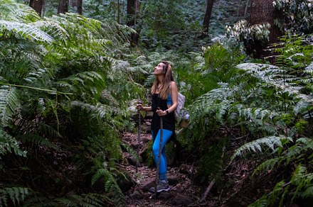 backpacker woman with poles stands along a path through the jungle, a Nature Photo by MnPousa