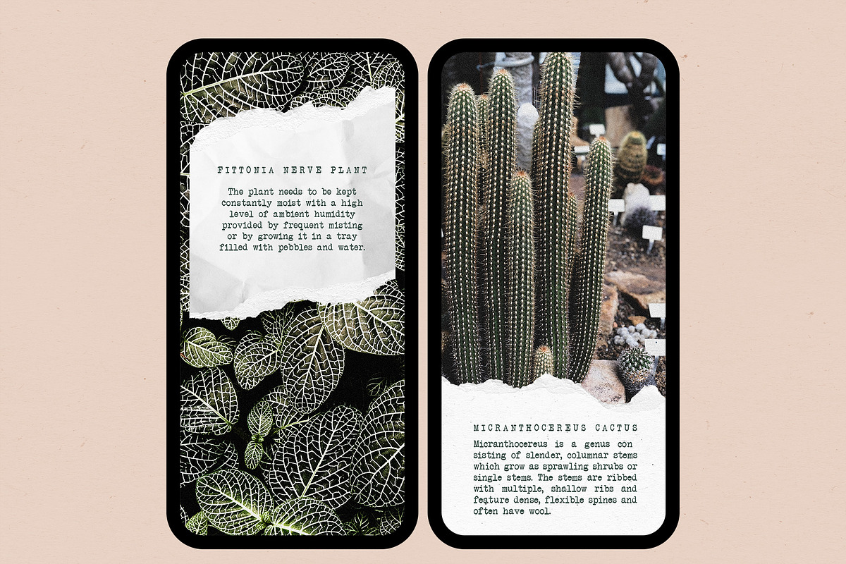 Torn Paper Instagram Story Sticker, an Object Graphic by U + Me Studio (Photo 2 of 9)