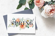 Watercolor Botanical Florals, a Decorative Illustration by Catherine Wheel (Thumbnail 35 of 43)