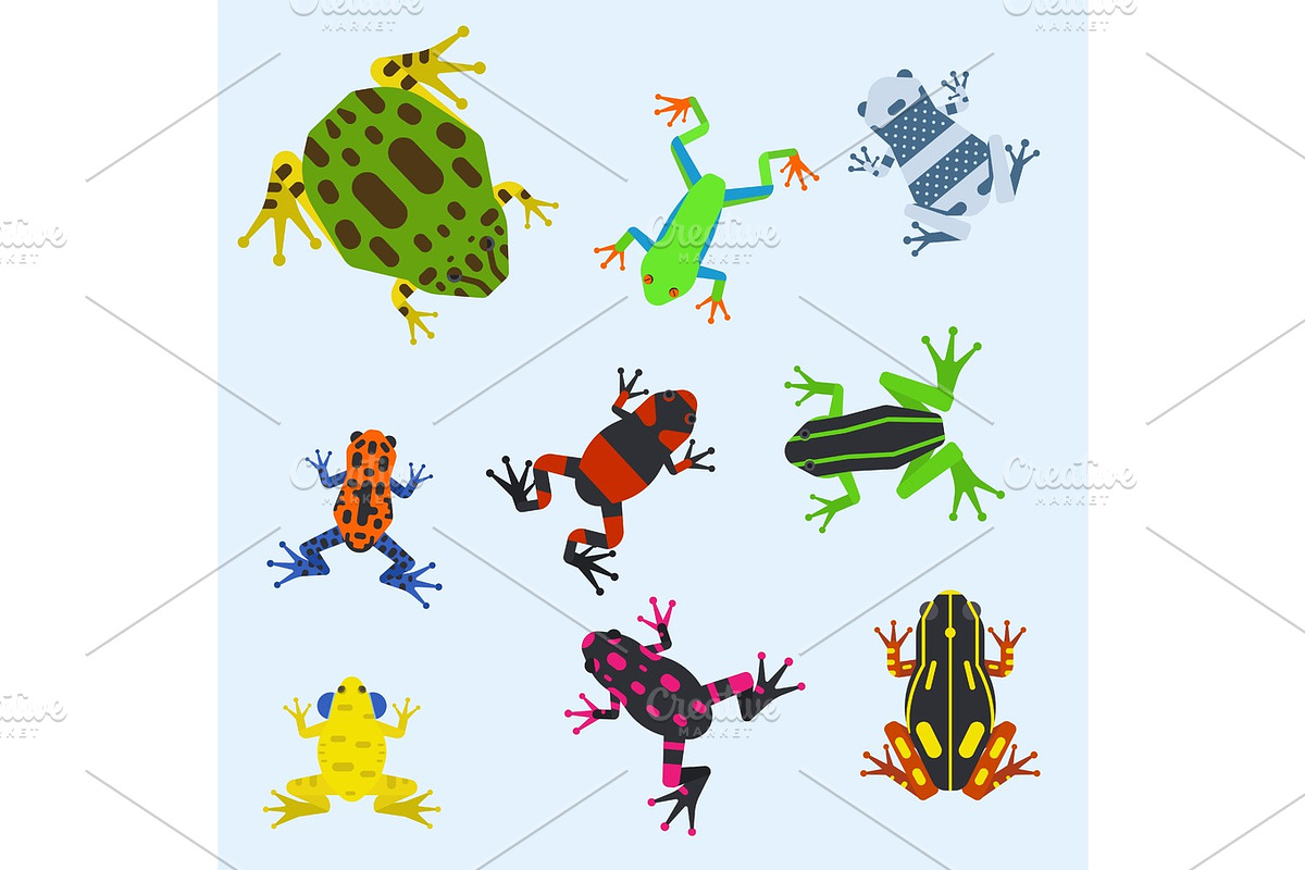Frog cartoon tropical animal cartoon amphibian mascot character wild ...