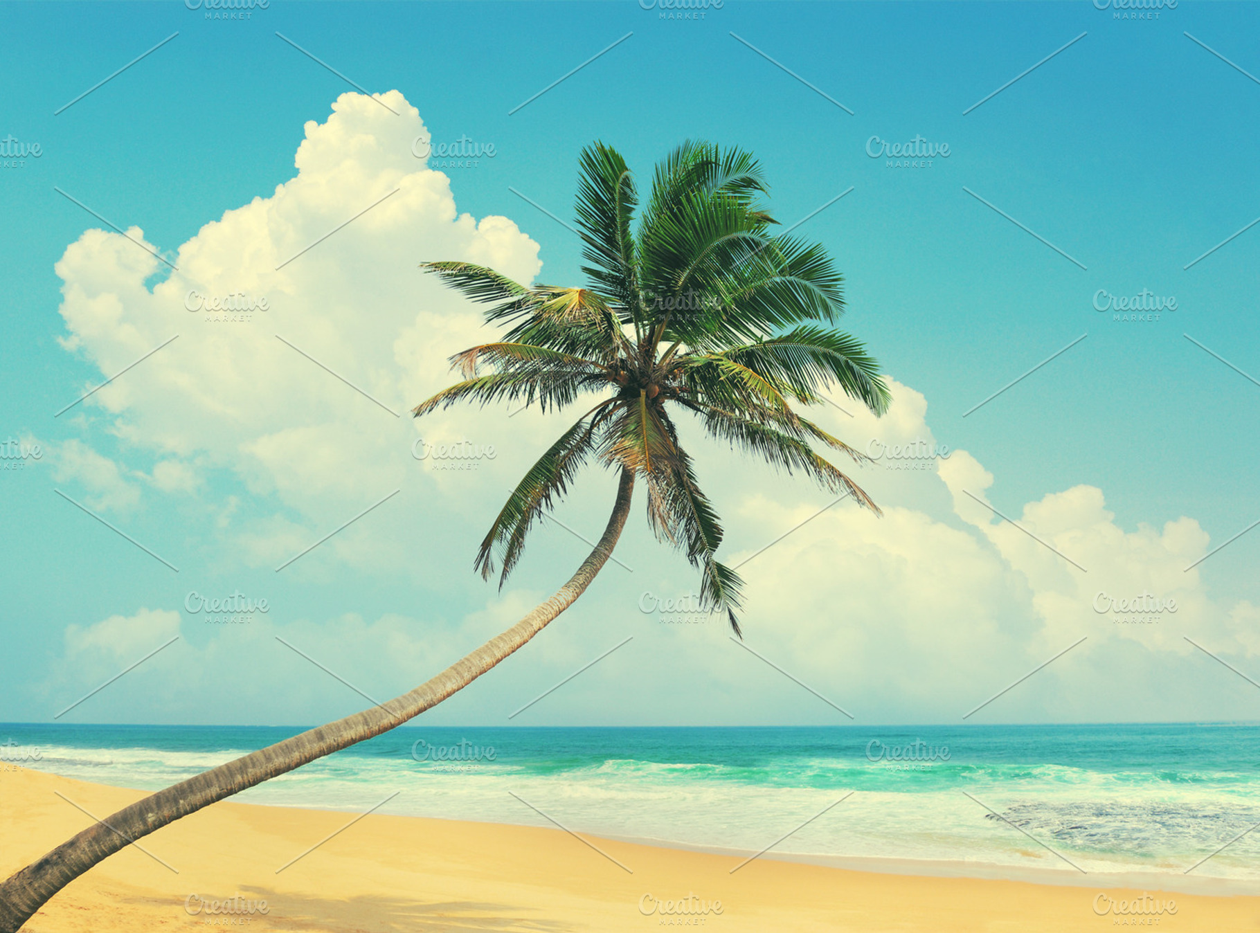 Palm tree bent over the ocean featuring sea, tree, and ocean, a Nature Photo by Byrdyak