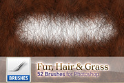 Fur, Hair and Grass Brushes, a Brush Add-On by Creative Graphics (Thumbnail 5 of 6)