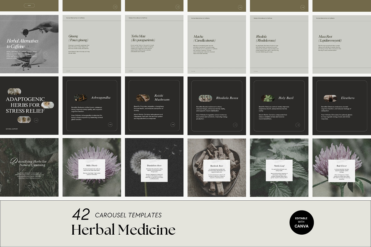 Herbalist Carousel Post Templates, a Social Media Template by Terraa Studio Design (Photo 1 of 9)