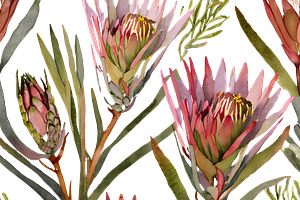 Watercolor Fynbos Flowers