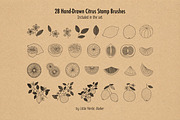 Citrus Botanicals Procreate Stamps, a Brush Add-On by Little Nordic Atelier (Thumbnail 2 of 6)