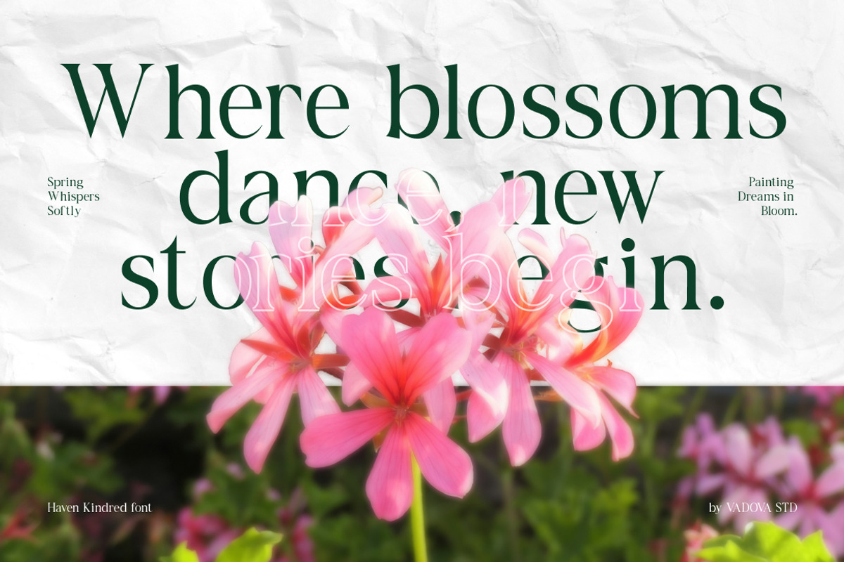 Haven Kindred Decorative Script Font, a Script Font by Vadovastd (Photo 4 of 7)