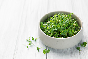 Fresh microgreens in bowl on white wooden table, a Food & Drink Photo by Olena Rudo