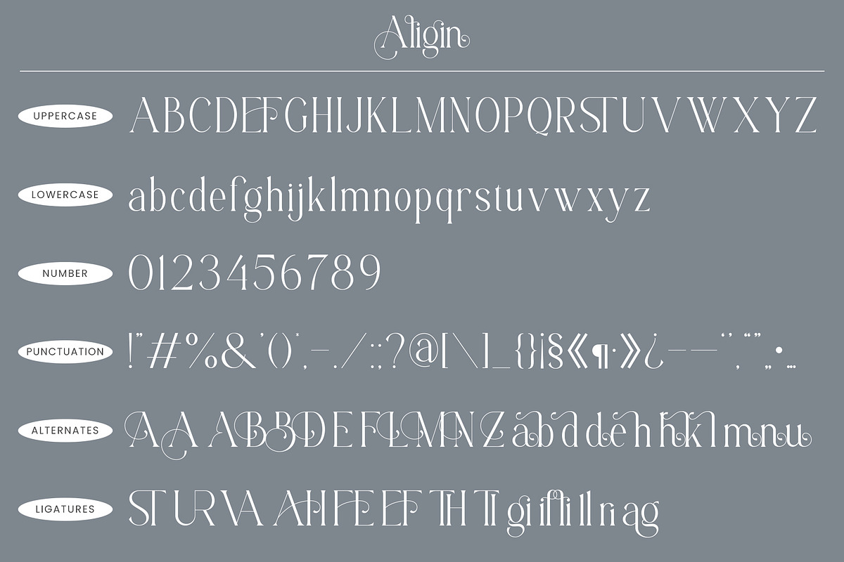 Aligin Serif - Modern Serif Font, a Serif Font by Idea Studio (Photo 12 of 12)