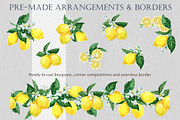 Amalfi Lemon Watercolor & Ink Kit, an Object Illustration by FineArt (Thumbnail 8 of 10)