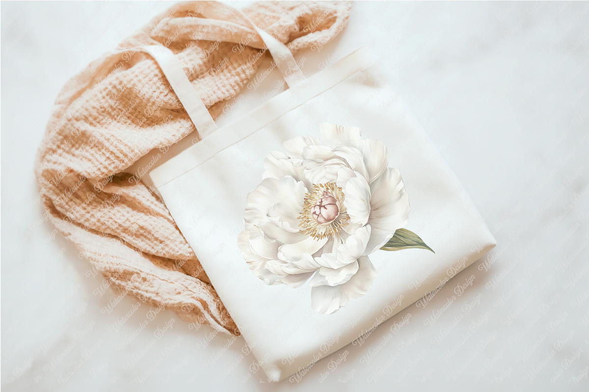 White Floral Clipart, an Illustration by Watercolor design (Photo 5 of 12)