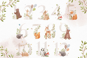 Baby Milestone Cards PNG/JPG