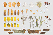 Autumn Floral Mockup Objects, an Object Graphic by uncle-rico (Thumbnail 2 of 13)