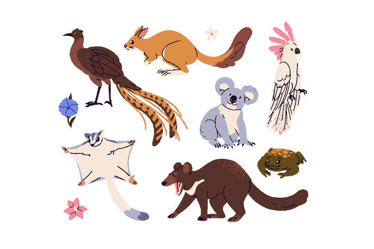 Australian animals and plants set, an Animal Illustration by PaperTrident (Photo 3 of 4)