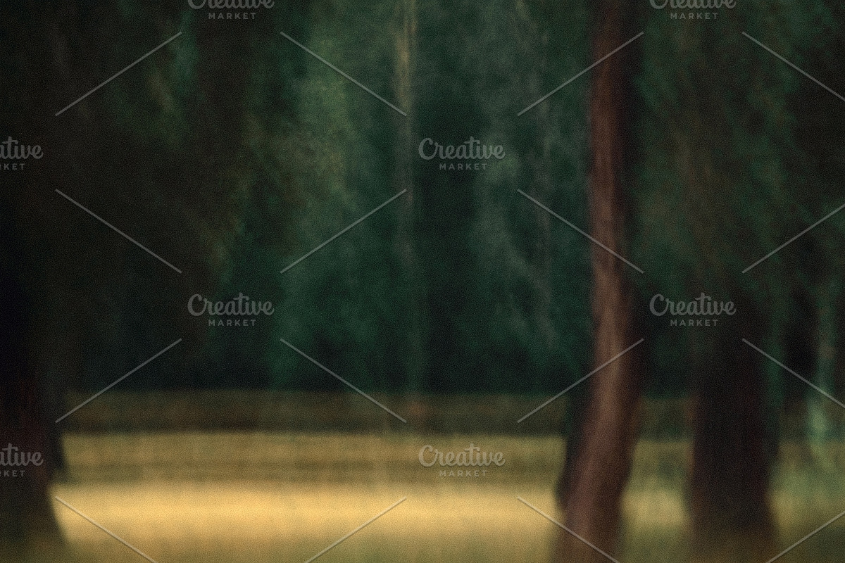 15 Motion Blur Landscape Photo, a Background Photo by Fun Fusion Design (Photo 11 of 11)