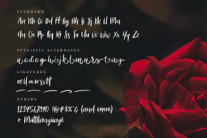 Bitter Rose - Brush Font TEXTURES