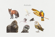 250+ Elements - Collage Creator Pack, an Object Graphic by Digi Life (Thumbnail 13 of 32)