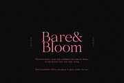 Beach Glamour - Summer Serif, a Serif Font by Misha Sova (Thumbnail 4 of 9)