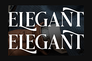 Griena Elegant Serif, a Serif Font by Maryamtype Studio (Thumbnail 4 of 15)