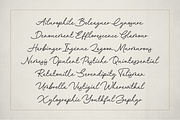Collins Hearthfield a Script Font, a Handwritten Font by Ainun Jinan (Thumbnail 9 of 11)