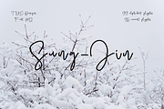 Sung-Jin font, a Script Font by TNE Designs (Thumbnail 1 of 5)