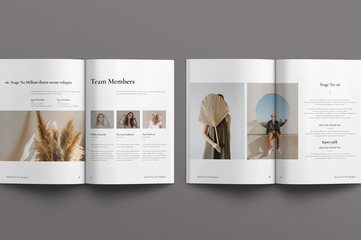 Media Press Kit Template, a Magazine Template by E-Type (Photo 7 of 8)