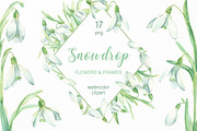 Snowdrop Flower Collection, an Illustration by My Wondercolor (Thumbnail 1 of 4)