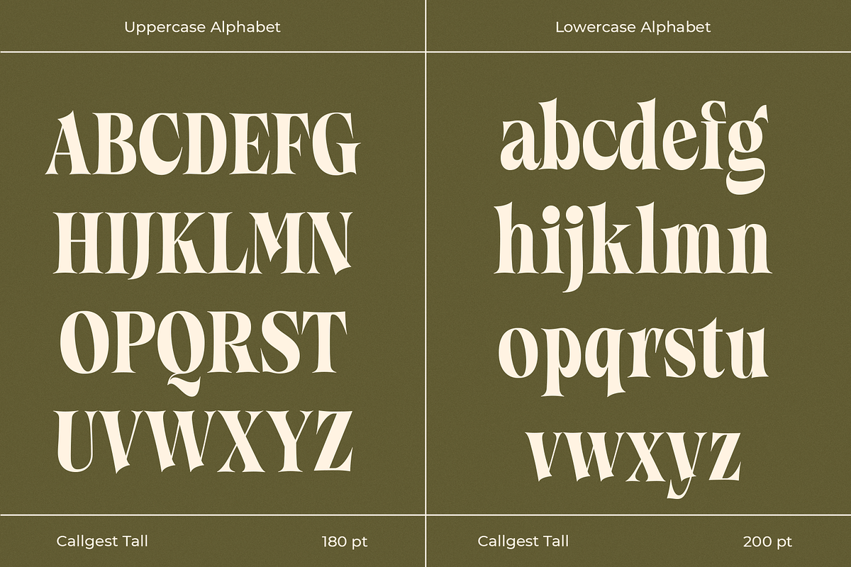 Callgest Display Font - 3 Styles, a Serif Font by Martype Co (Photo 8 of 14)