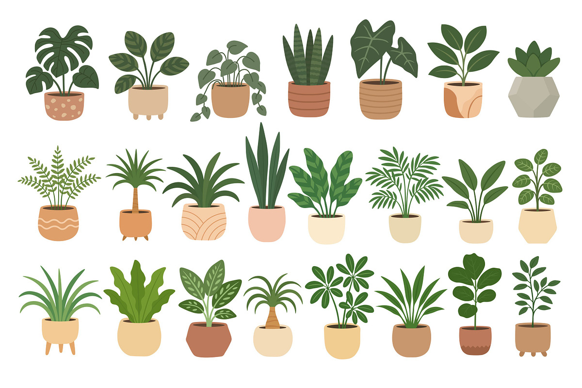 Houseplant set, a Decorative Illustration by ananastya (Photo 2 of 3)