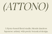 Dalbine Disco, a Serif Font by Craft Supply Co. (Thumbnail 4 of 8)