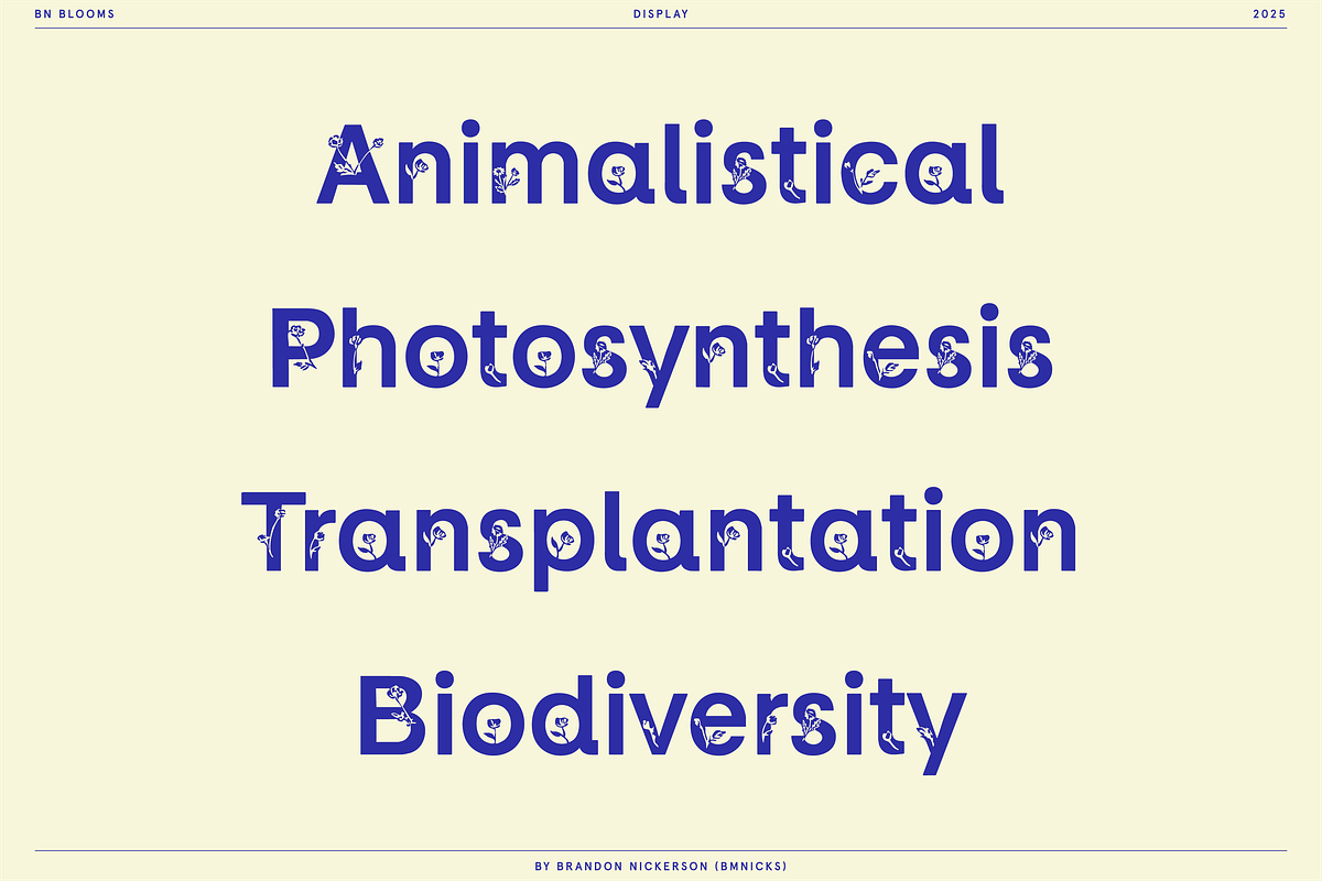 BN Blooms, a Sans Serif Font by Bnick (Photo 8 of 17)