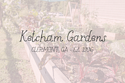 Goldenroot Serif A Rustic Font, a Handwritten Font by Beck McCormick (Thumbnail 6 of 10)