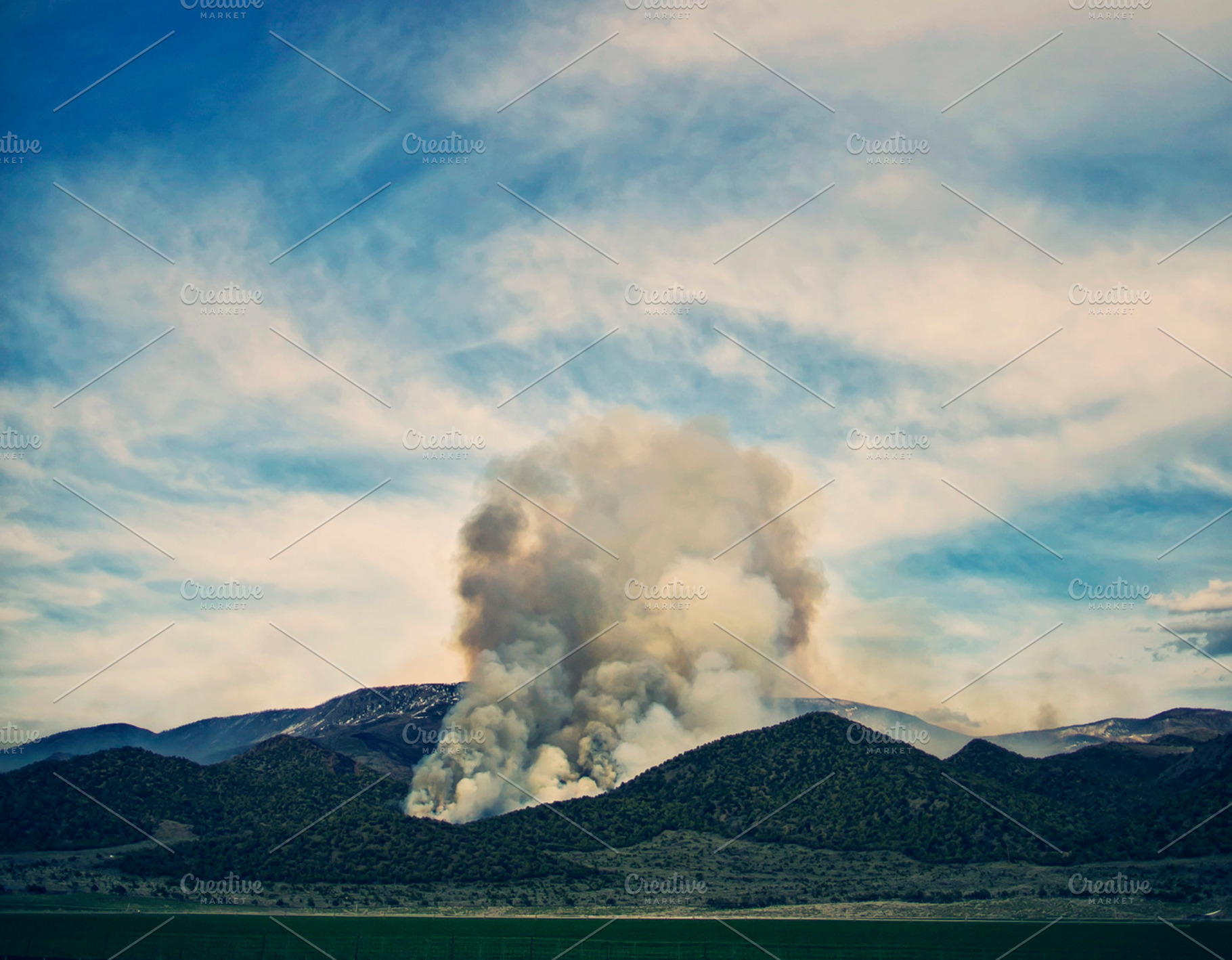 Smoke In The Forest