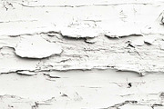 varied wood grain bundle, a Texture Graphic by VetalStock (Thumbnail 5 of 12)