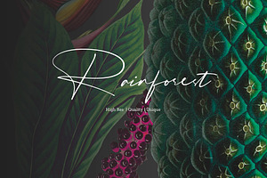 Rainforest Tropical Pattern Set!