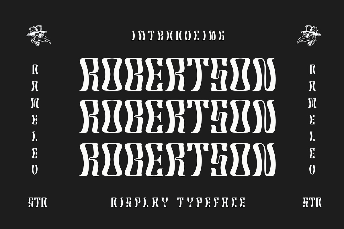Robertson Display, a Sans Serif Font by Damelev (Photo 1 of 10)