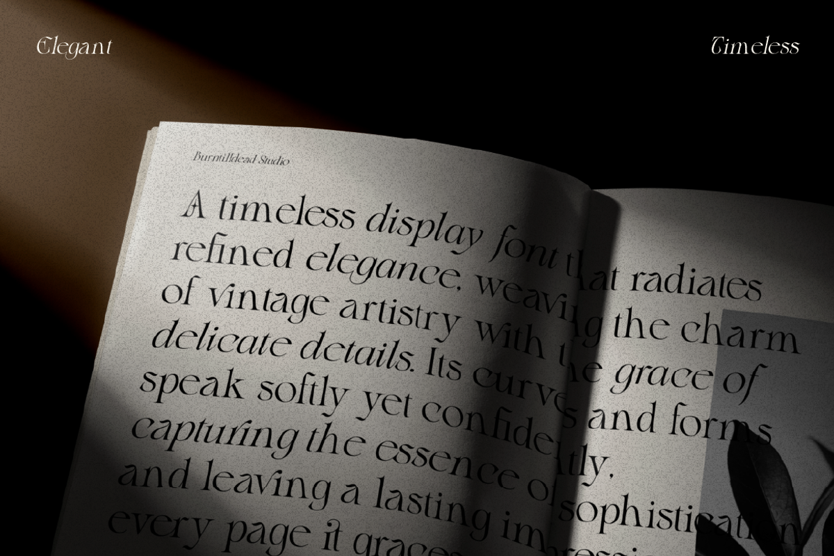 Blither Herasi - Elegant Serif, a Serif Font by Burntilldead (Photo 5 of 12)