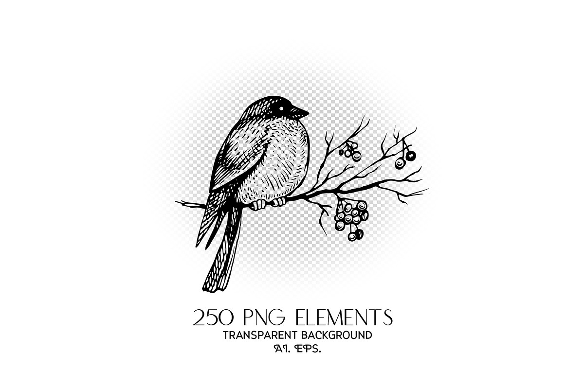 Christmas winter sketches - vector, an Animal Illustration by Aquatinta (Photo 6 of 8)