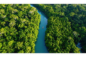 Aerial view of a lush green, an Animal Photo by Igor Tichonow