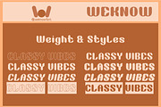 Classy Vibes font, a Font by weknow (Thumbnail 7 of 8)