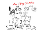 Whimsical Dog Alphabet, an Animal Illustration by Anastasiya Klempach (Thumbnail 4 of 8)
