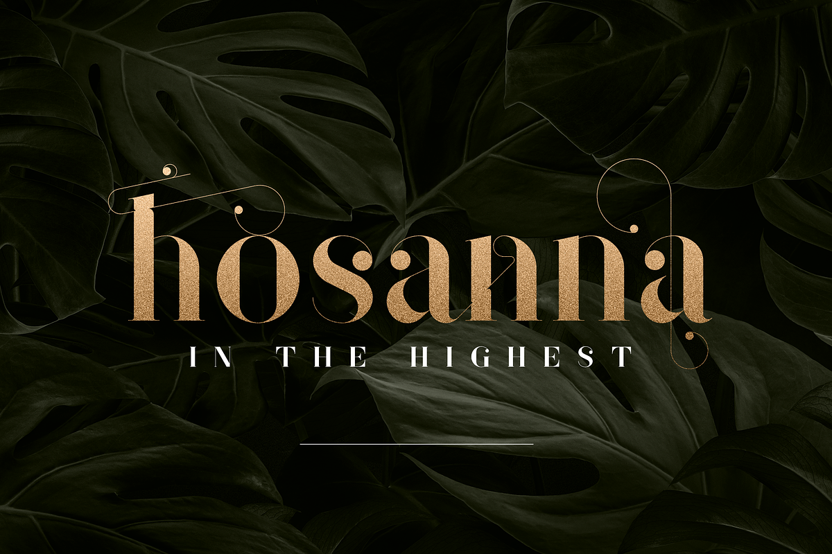 Sonder Serif Typeface - 5 weights, a Serif Font by VP Fonts (Photo 3 of 9)