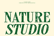 CS Lobelia Stamp, a Serif Font by Craft Supply Co. (Thumbnail 3 of 8)